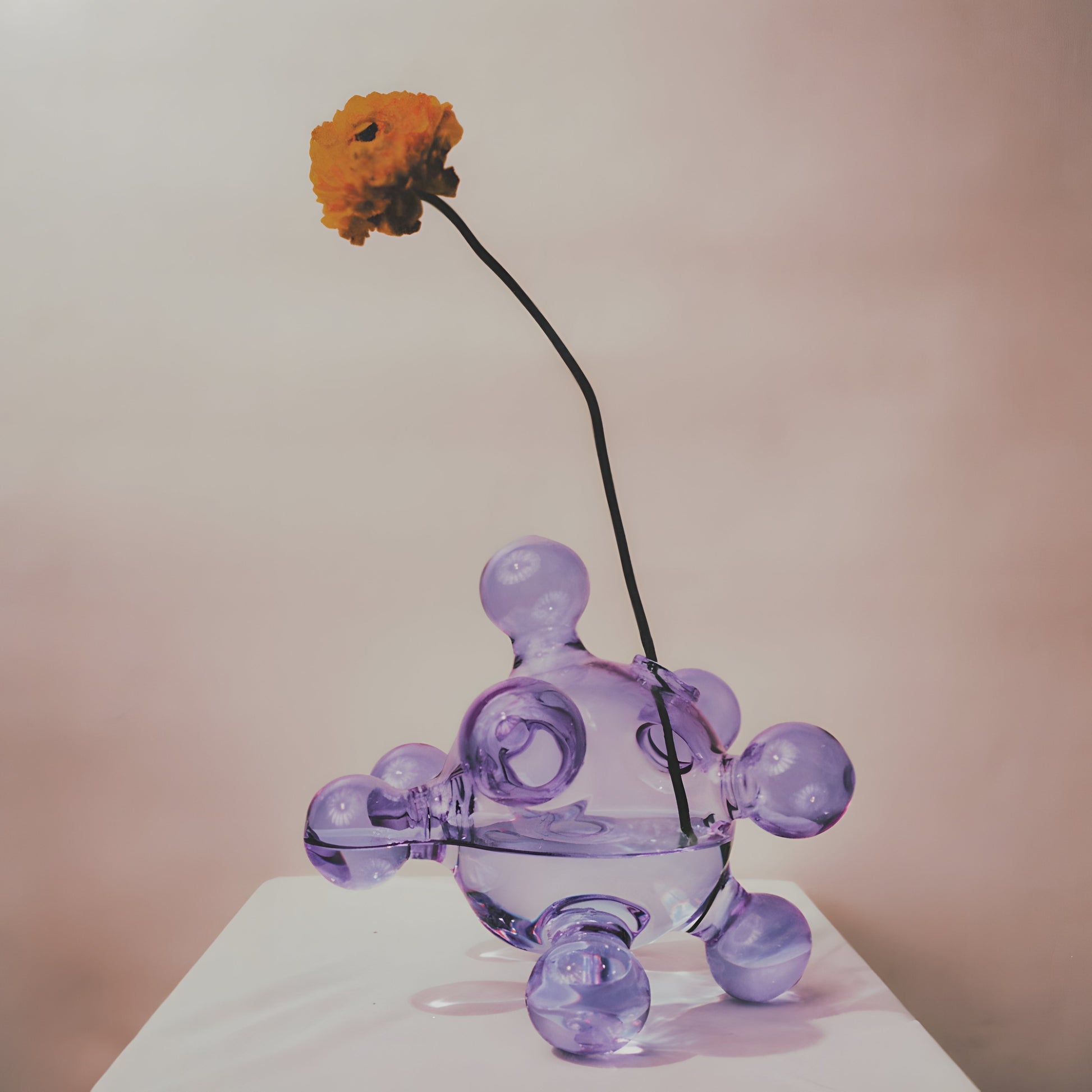 Chemistry Vase - Ornamental by Lameice