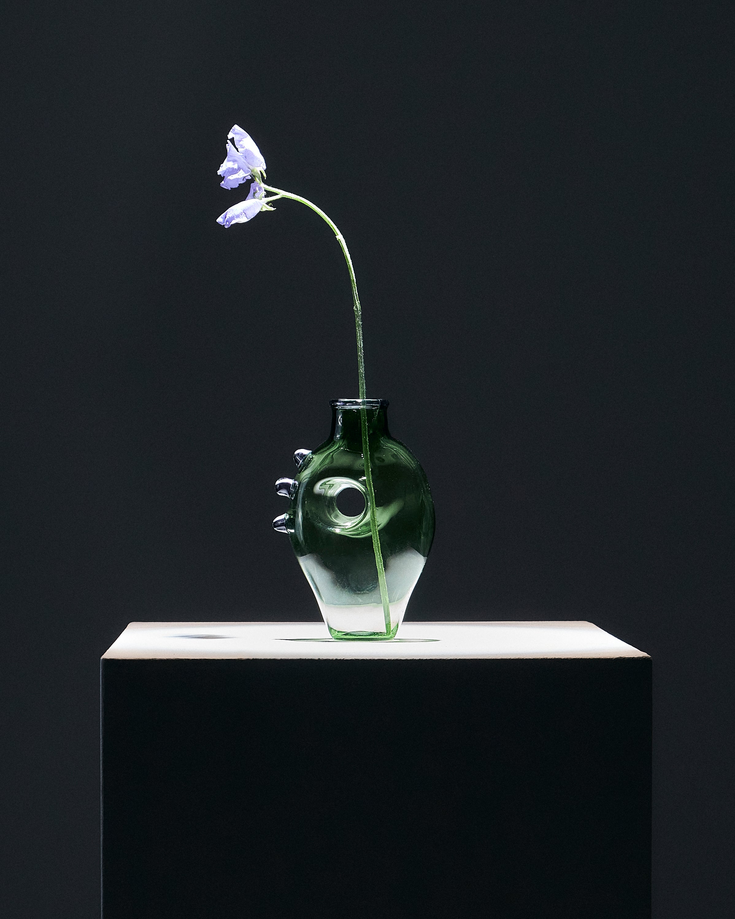 The Heart in Glass: A Valentine's Meditation – Ornamental by Lameice