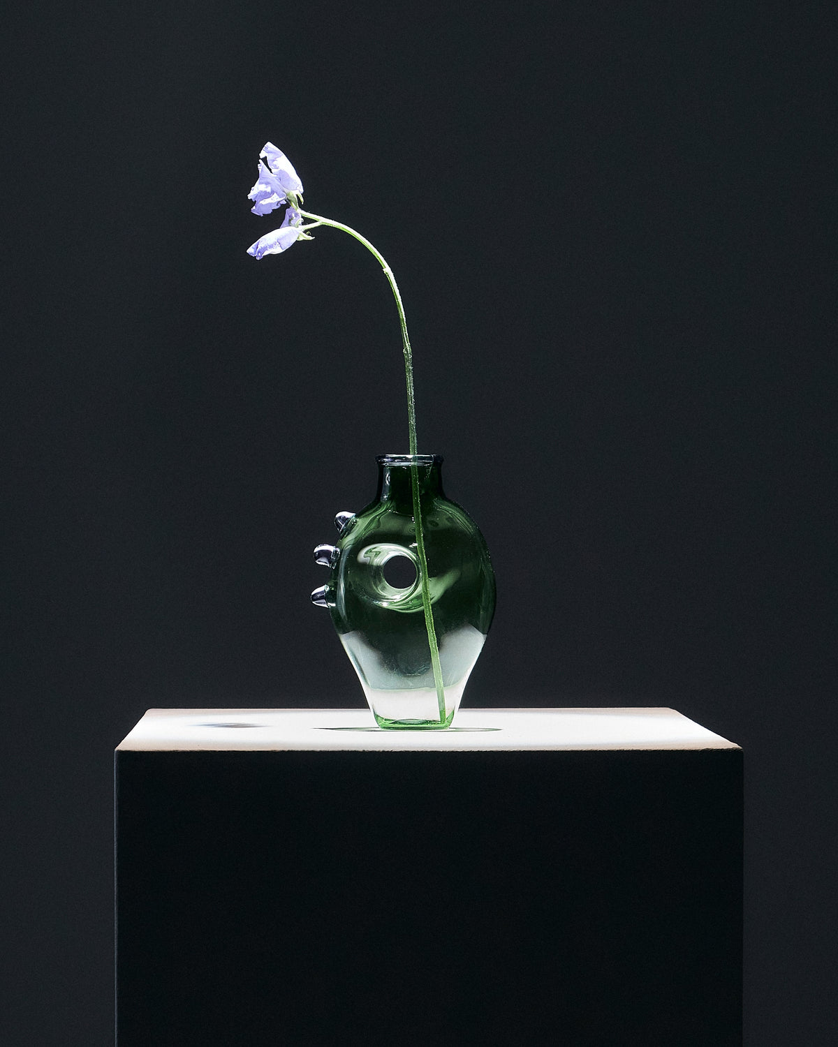 The Heart in Glass: A Valentine's Meditation – Ornamental by Lameice