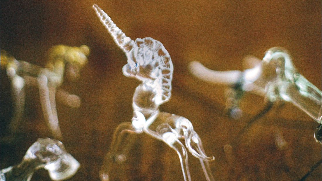 Sanad Khoury:  " The Glass Café  " , Through Glass, We See Ourselves.